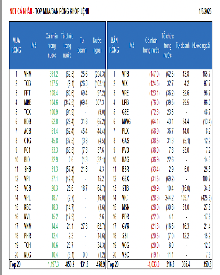 Tổ chức trong nước 