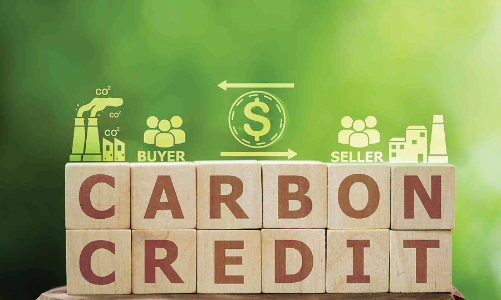 Efforts  for an internationally-linked carbon market to be accelerated
