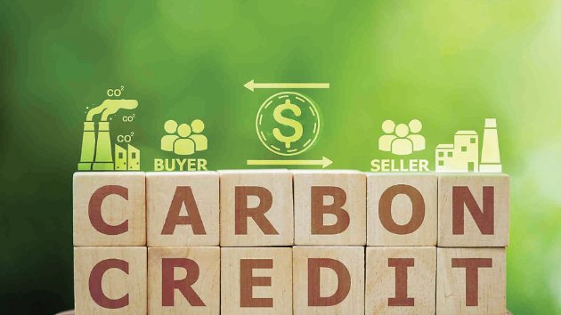 Efforts  for an internationally-linked carbon market to be accelerated