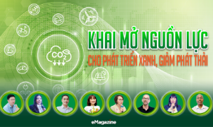 Khai mở nguồn lực cho phát triển xanh, giảm phát thải