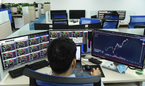 Tổ chức trong nước 