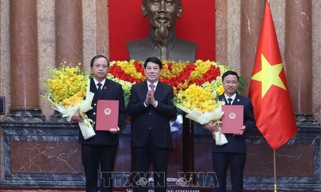 Chủ tịch nước Lương Cường trao quyết định bổ nhiệm Phó Chánh án Tòa án nhân dân Tối cao