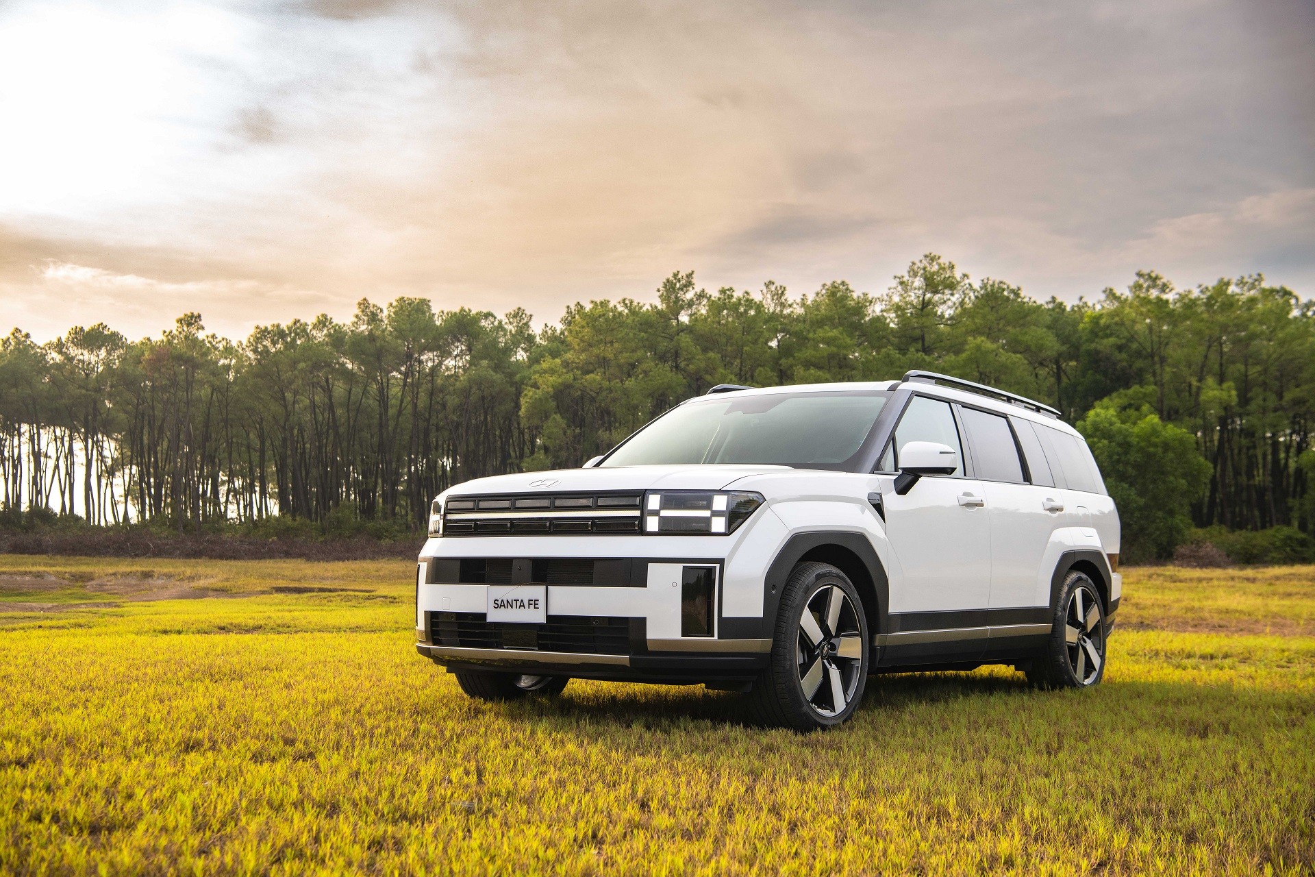 <i>Hyundai Thành Công đang dụng chương trình ưu đãi lớn cho nhiều dòng xe. Trong đó, ưu đãi lớn trong tháng 1/2026 tập trung vào hai mẫu SUV đầu bảng là Hyundai Santa Fe và Hyundai Palisade. Cụ thể, mẫu xe Santa Fe nhận được gói ưu đãi có tổng trị giá cao nhất lên tới 220 triệu đồng.&nbsp;Khoản ưu đãi là sự kết hợp giữa việc giảm giá bán trực tiếp tại hệ thống đại lý cùng các quyền lợi gia tăng khác.&nbsp;</i>