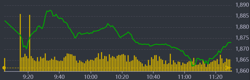 Diễn biến VN-Index sáng nay.