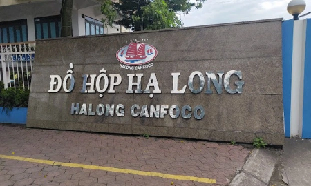 Vụ đưa 120 tấn thịt lợn nhiễm bệnh vào Công ty Đồ hộp Hạ Long: Khởi tố 9 bị can