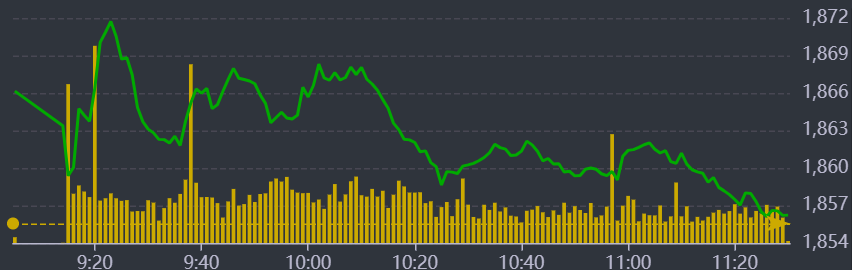 Diễn biến VN-Index sáng nay.