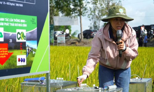 Thiết lập và vận hành hệ thống MRV và cơ sở dữ liệu phát thải khí nhà kính trong trồng trọt