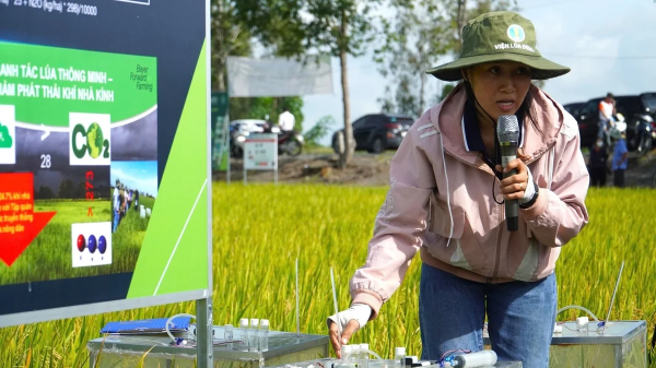 Thiết lập và vận hành hệ thống MRV và cơ sở dữ liệu phát thải khí nhà kính trong trồng trọt