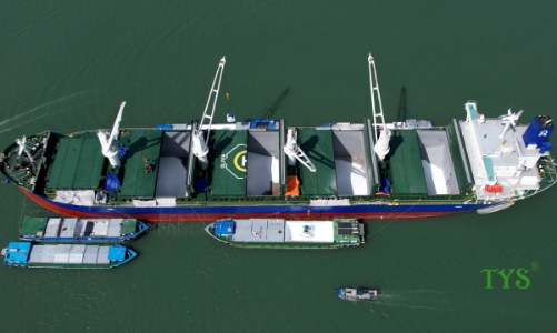 Phân bón Cà Mau 2025: Vượt “gió ngược” nhờ năng lực nội sinh