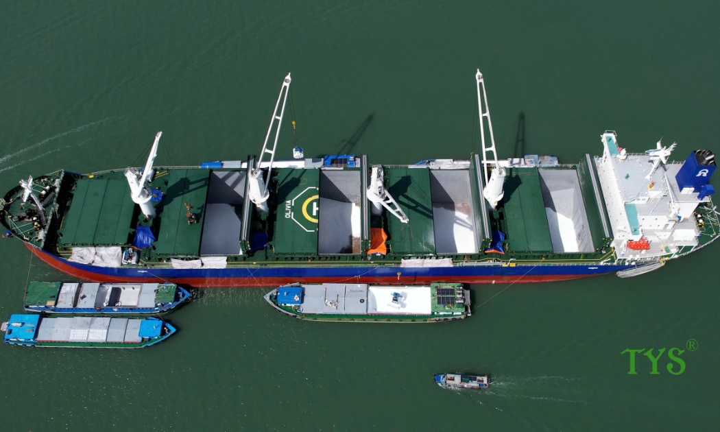 Phân bón Cà Mau 2025: Vượt “gió ngược” nhờ năng lực nội sinh