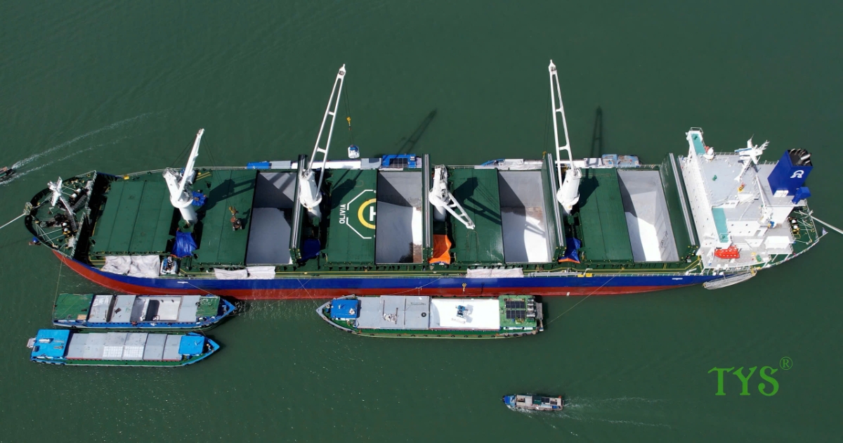 Phân bón Cà Mau 2025: Vượt “gió ngược” nhờ năng lực nội sinh