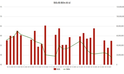 Tháng 12, giao dịch tự doanh công ty chứng khoán tăng 106%