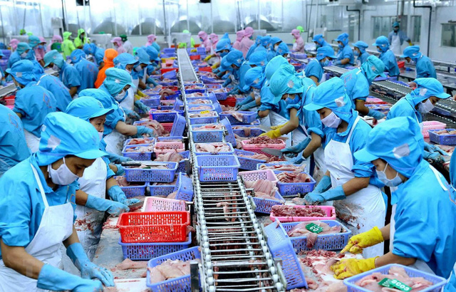 Doanh nghiệp xuất khẩu cần chuẩn bị sẵn sàng tuân thủ Chỉ thị CSDDD của EU.