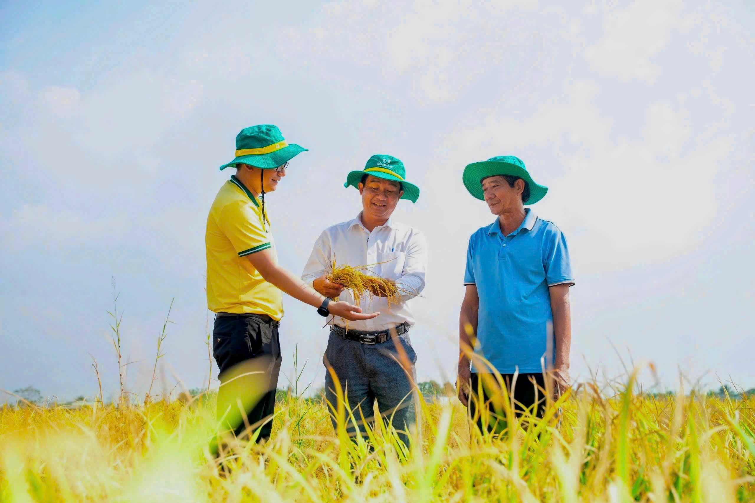 PVCFC góp phần nâng cao hiệu quả canh tác, giảm chi phí đầu vào giúp bà con tiếp cận các giải pháp nông nghiệp phù hợp hơn.