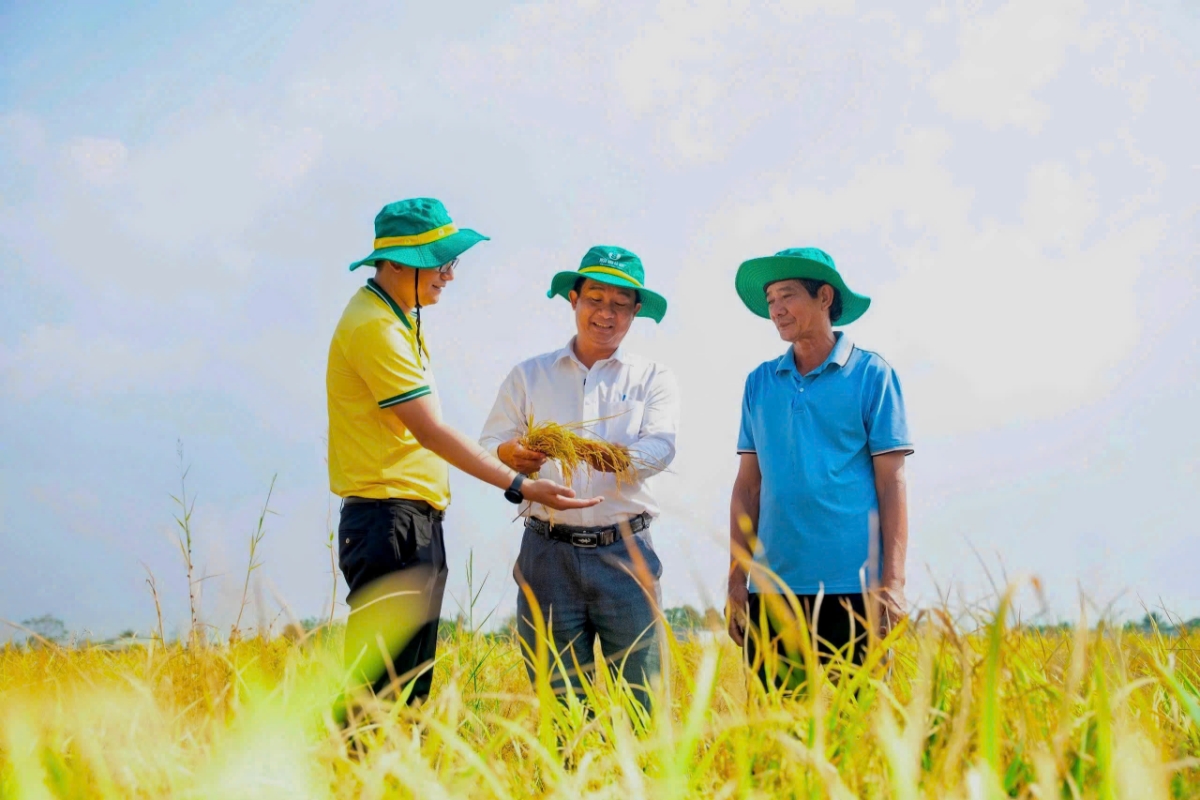 PVCFC góp phần nâng cao hiệu quả canh tác, giảm chi phí đầu vào giúp bà con tiếp cận các giải pháp nông nghiệp phù hợp hơn.