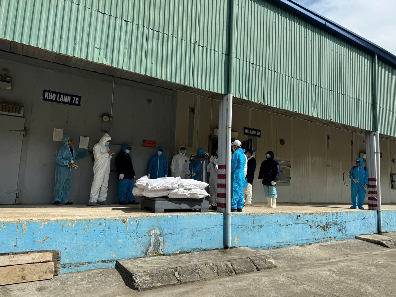 Công an kiểm tra và niêm phong 4 kho hàng với hơn 130 tấn thịt lợn nhiễm dịch tại Công ty cổ phần đồ hộp Hạ Long.