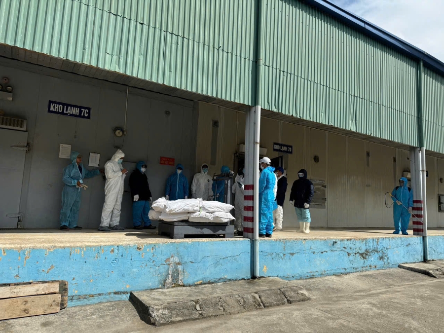 Công an kiểm tra và niêm phong 4 kho hàng với hơn 130 tấn thịt lợn nhiễm dịch tại Công ty cổ phần đồ hộp Hạ Long.