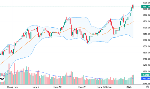 Xu thế dòng tiền: Dòng tiền lớn đã trở lại