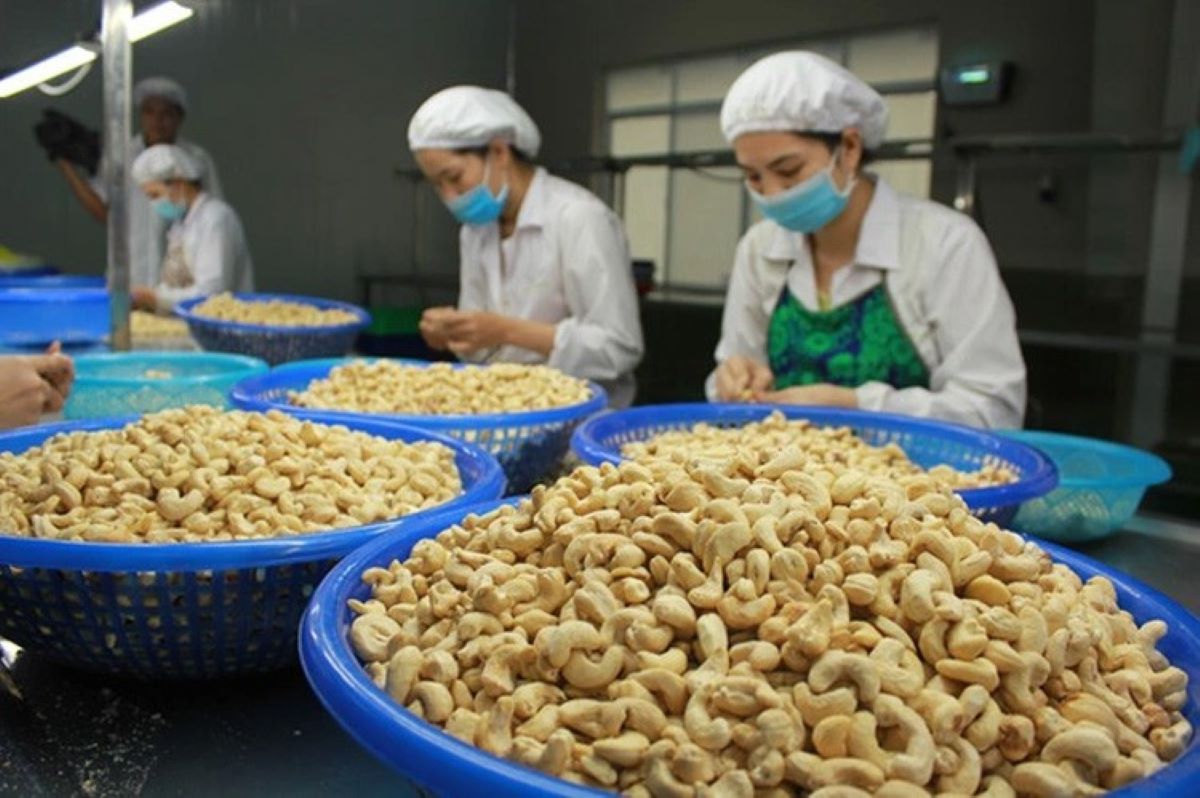 Xuất khẩu hạt điều đã xác lập kỷ lục mới, 5,229 tỷ USD.