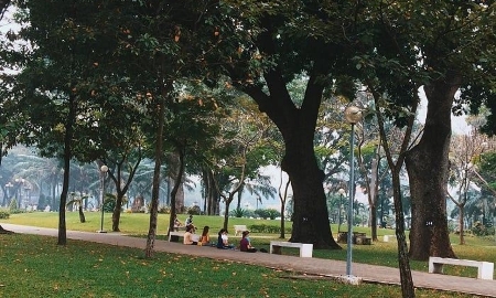 TP.Hồ Chí Minh cần thêm nhiều mảng xanh đô thị. Trong ảnh: Công viên Gia Định -