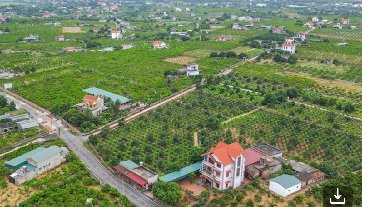 Ảnh minh họa.