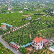 Gỡ “điểm nghẽn” dự án, đất đai để khơi thông nguồn lực tăng trưởng