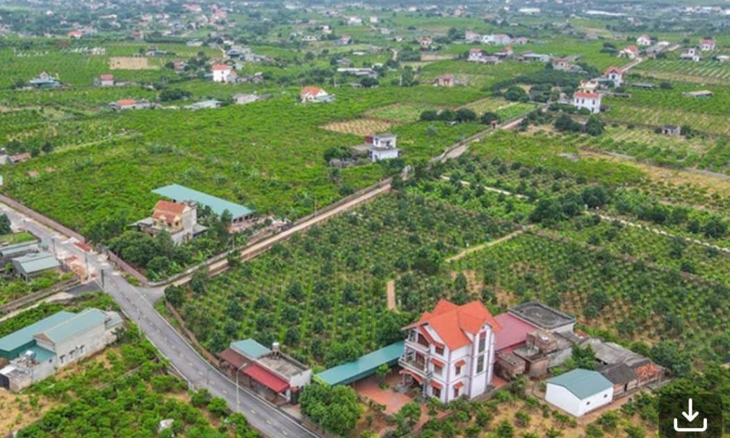 Ảnh minh họa.