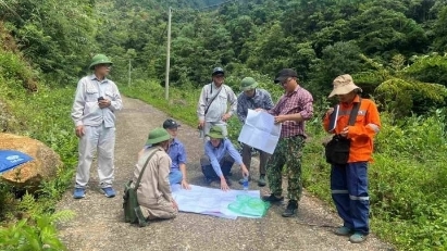 National Council for mineral reserves evaluation established