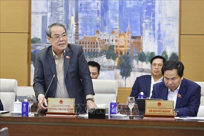 Chủ nhiệm Ủy ban Dân nguyện và Giám sát của Quốc hội Dương Thanh Bình phát biểu. Ảnh: TTXVN.
