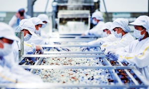 Nông nghiệp lập kỷ lục tăng trưởng cao nhất 10 năm