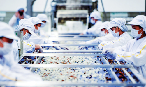 Nông nghiệp lập kỷ lục tăng trưởng cao nhất 10 năm