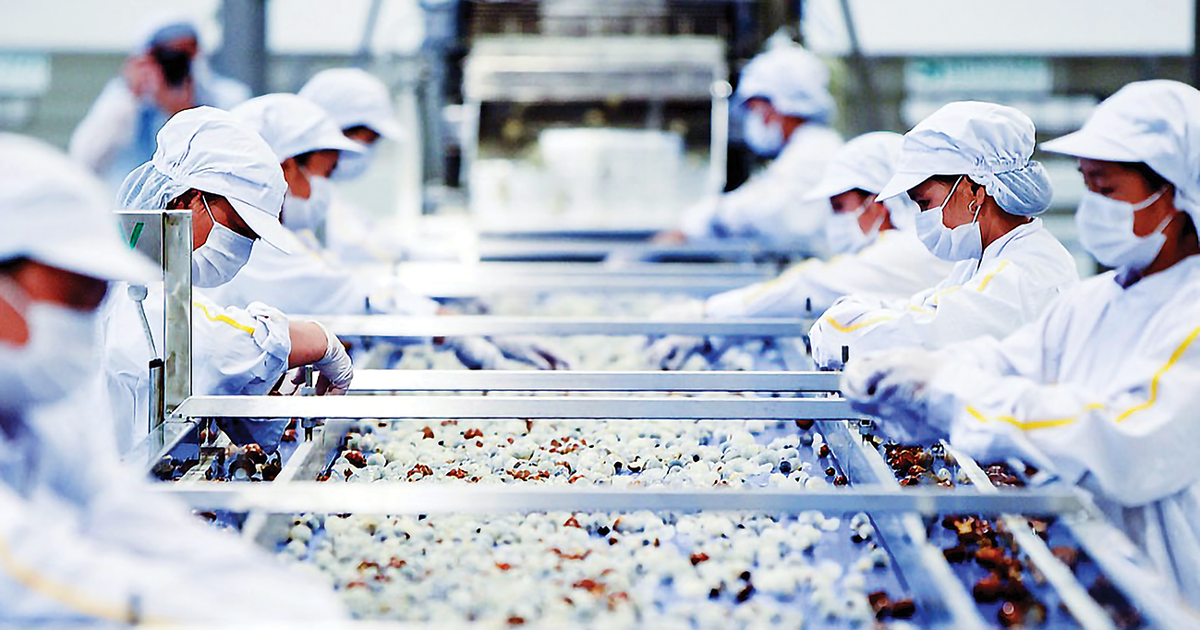 Nông nghiệp lập kỷ lục tăng trưởng cao nhất 10 năm