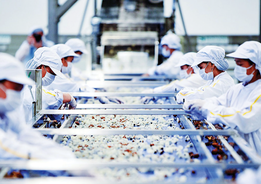 Xuất khẩu nông sản tăng trưởng mạnh mẽ.