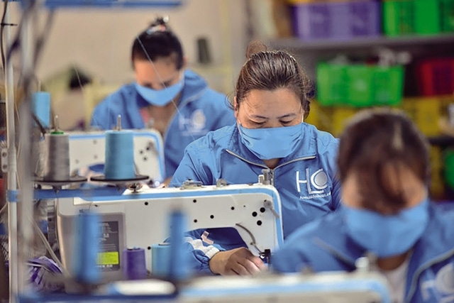 Working age  segment  accounts for almost 63% of population