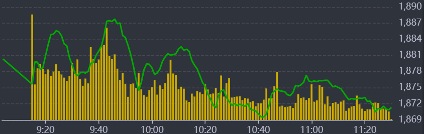 Diễn biến chỉ số VN-Index sáng nay.