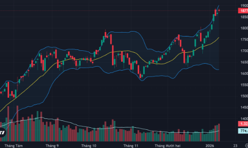 “Ngây ngất” với thanh khoản, loạt cổ phiếu tím ngắt