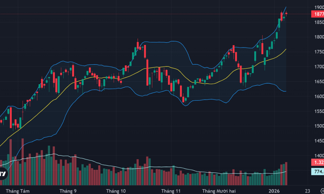 “Ngây ngất” với thanh khoản, loạt cổ phiếu tím ngắt