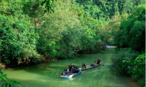 Điện ảnh - 