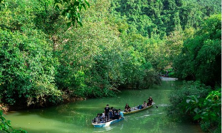 Điện ảnh -
