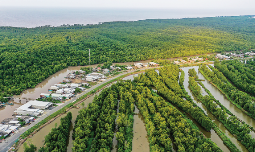 Phát triển kinh tế xanh ở Đồng bằng sông Cửu Long