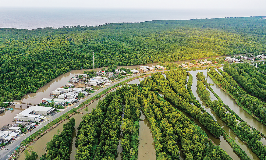 Phát triển kinh tế xanh ở Đồng bằng sông Cửu Long