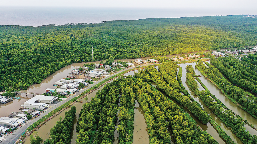 Phía sau vẻ bình lặng ấy là những chuyển động sâu sắc của một vùng đang tự điều chỉnh để tồn tại và phát triển trong bối cảnh mới