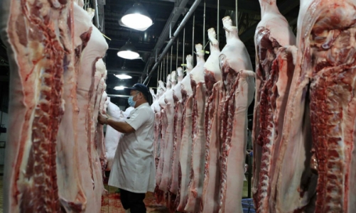 Chi gần 2 tỷ USD nhập khẩu thịt, giá lợn hơi trong nước vẫn tăng mạnh