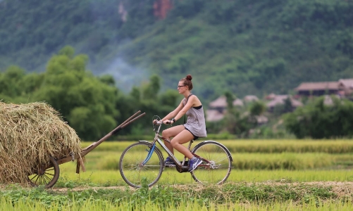 2026 sẽ là năm của những kỳ nghỉ yên tĩnh