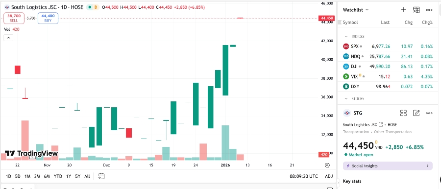 Sơ đồ giá cổ phiếu STG trên TradingView.