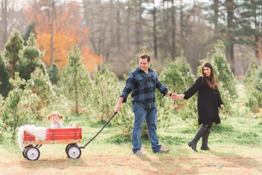 Các kỳ nghỉ tại trang trại đang bùng nổ.