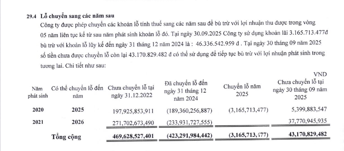 Thay đổi kế hoạch, Tổng giám đốc VNS không mua vào như dự kiến - Ảnh 1