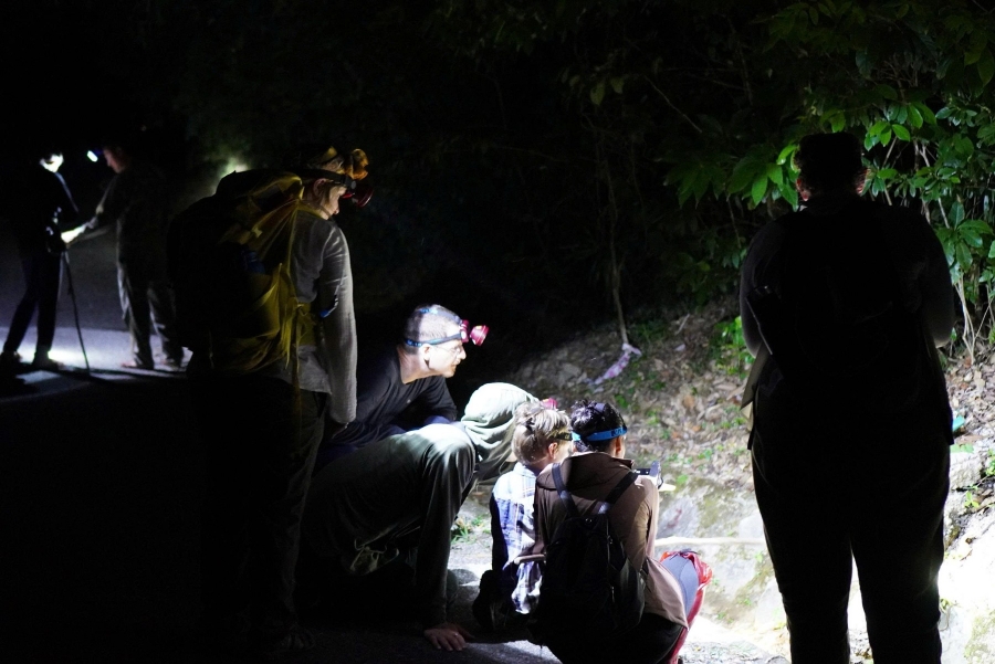 Du khách chăm chú quan sát các loài động vật.