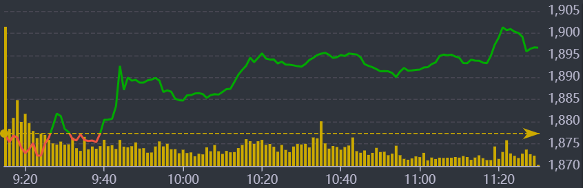 Diễn biến chỉ số VN-Index sáng nay.