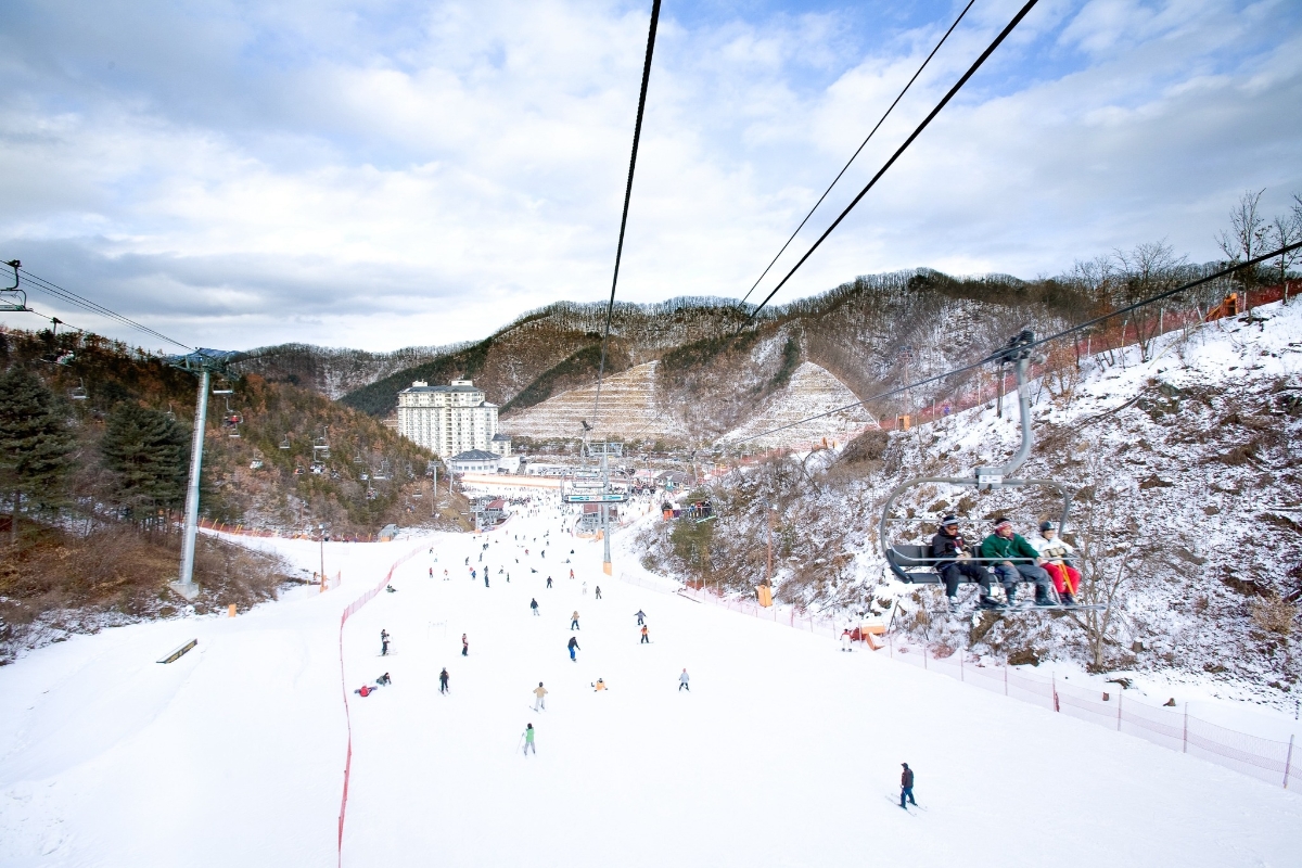 Du lịch nước ngoài cũng ghi nhận những tín hiệu tích cực trong mùa Tết năm nay.